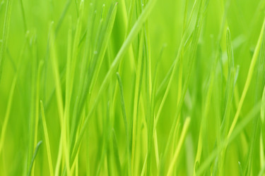 Similar image 6109741