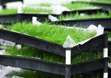 Similar image 6109745