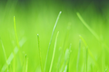 Similar image 6109749