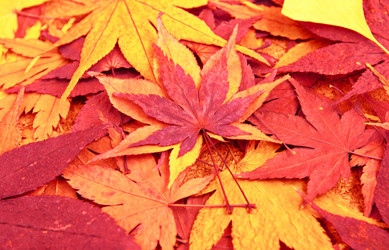 Similar image 6109952