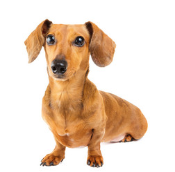 Similar image 6110096