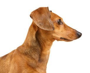 Similar image 6110118