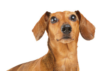 Similar image 6110126