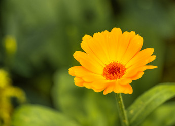 Similar image 6110146