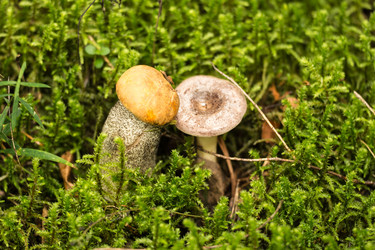 Similar image 6110147