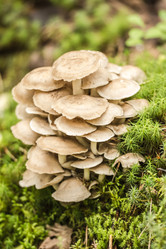 Similar image 6110148