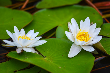 Similar image 6110149