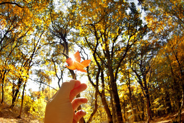 Similar image 6110151