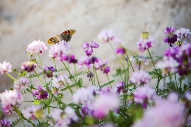 Similar image 6138524