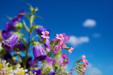 Similar image 6138525