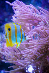 Similar image 6138527