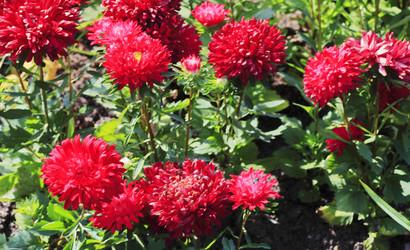 Similar image 6138581