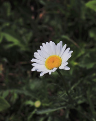 Similar image 6138585