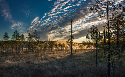 Similar image 6138603