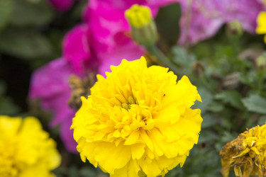 Similar image 6138633