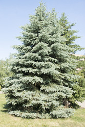 Similar image 6138634