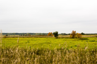 Similar image 6138635