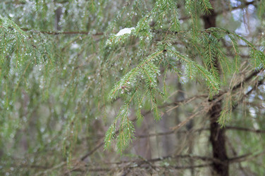 Similar image 6138636