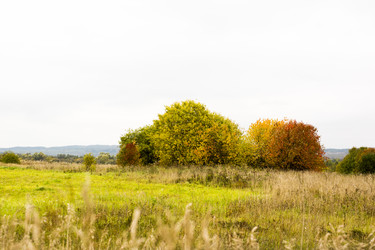 Similar image 6138637