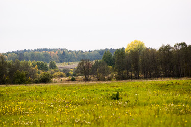 Similar image 6138640