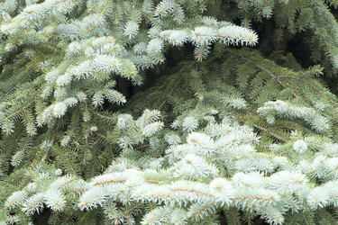 Similar image 6138641