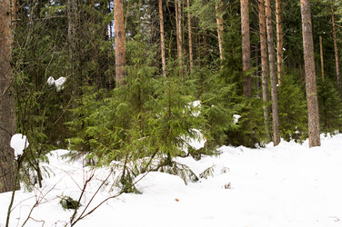 Similar image 6138642