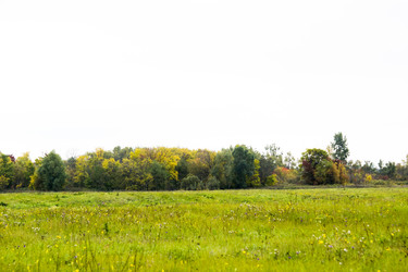 Similar image 6138643