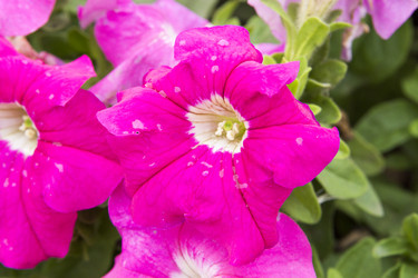 Similar image 6138644