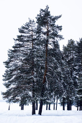 Similar image 6138645