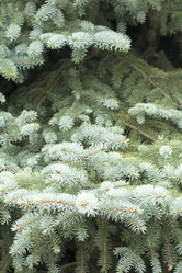 Similar image 6138647