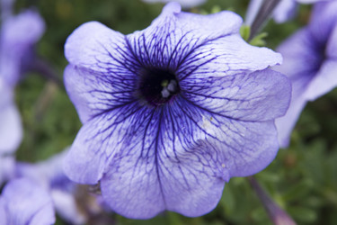 Similar image 6138686