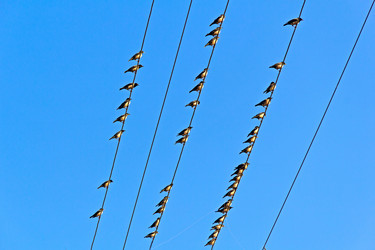 Similar image 6138688