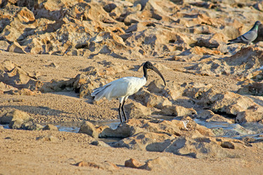 Similar image 6138693