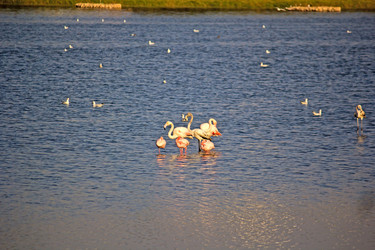 Similar image 6138728