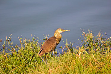 Similar image 6138731