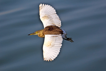 Similar image 6138732