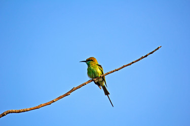 Similar image 6138735