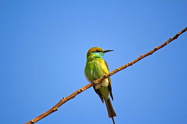 Similar image 6138736