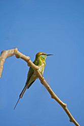 Similar image 6138737