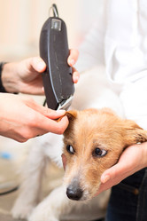 Similar image 6138788