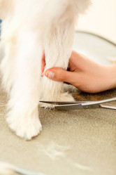 Similar image 6138790