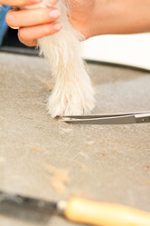 Similar image 6138791