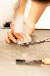 Similar image 6138794