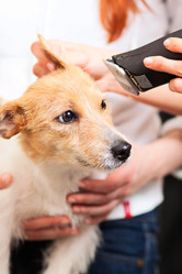 Similar image 6138800