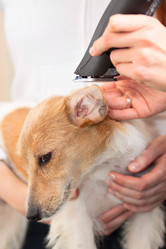 Similar image 6138802