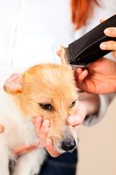 Similar image 6138804