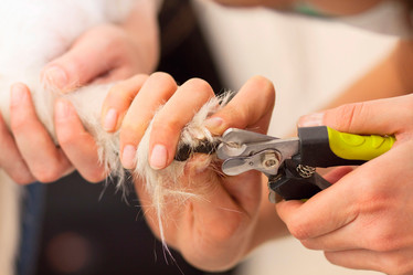 Similar image 6138806