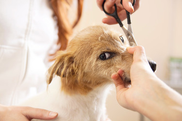 Similar image 6138809