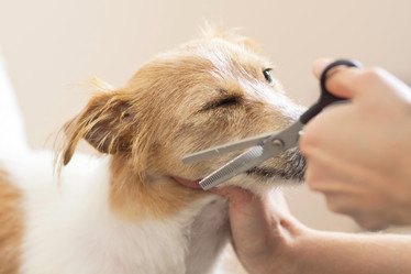 Similar image 6138810