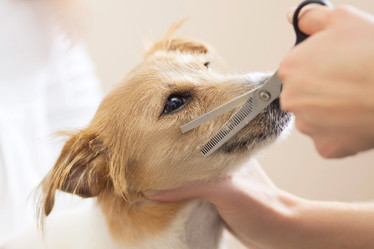 Similar image 6138811